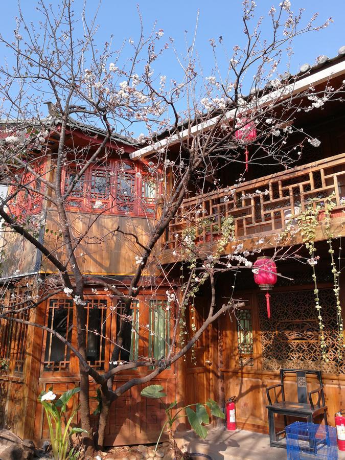 Runtong International Youth Hostel Lijiang  Luaran gambar